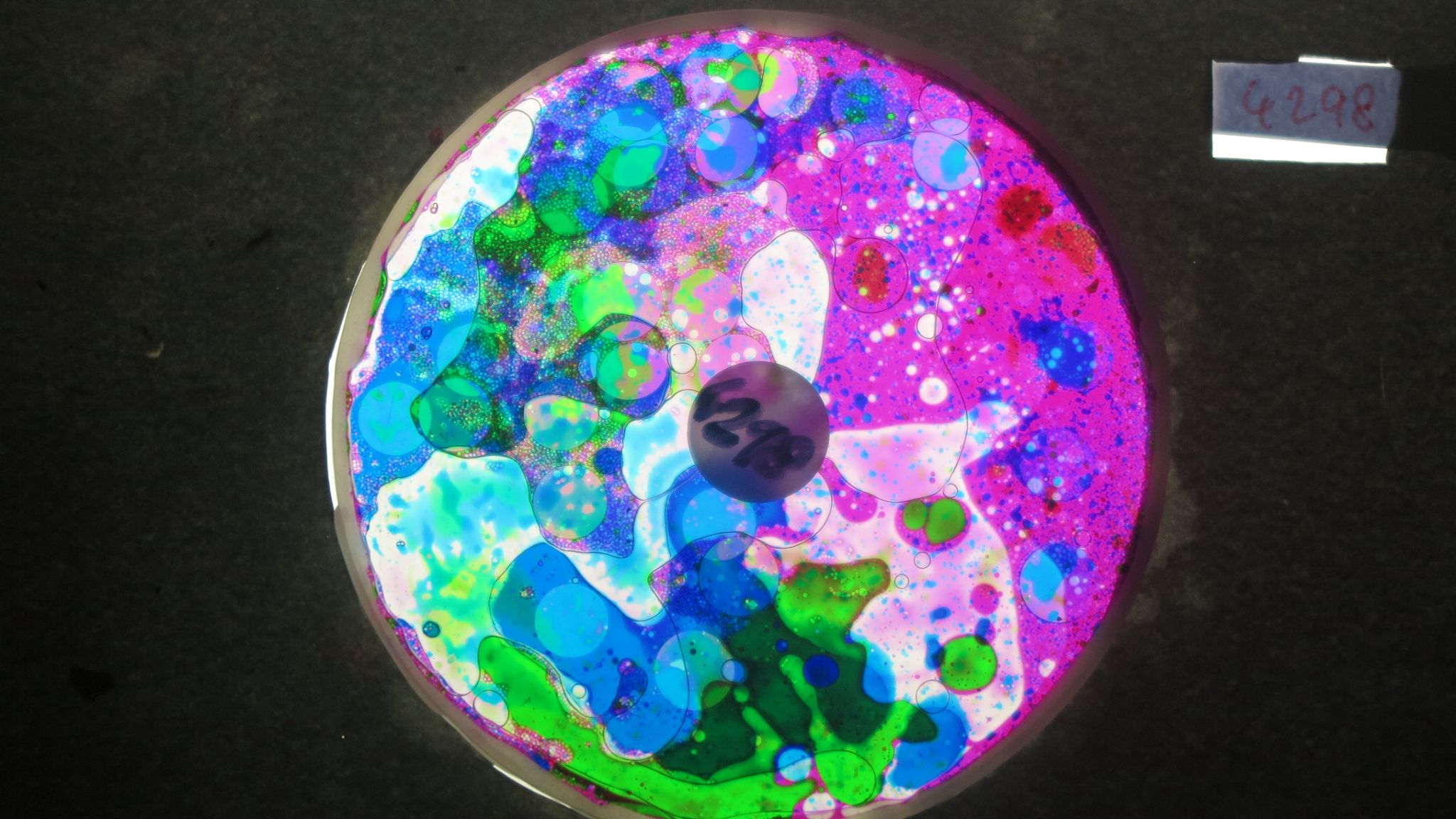 BV4298 bubble vision oil wheel